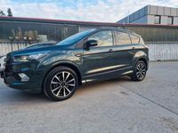 Brugt Ford Kuga ST-Line 150 HK (110 kW) 2019 Grøn SUV