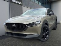 Gebraucht Mazda CX-30 Nagisa 186 PS (136 kW) 2025 SUV