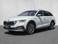 Gebraucht Skoda Octavia 200 PS (147 kW) 2023 Moonweiß perleffekt (metallic) Kombi