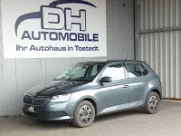 Gebraucht Skoda Fabia Active 75 PS (55 kW) 2019 Grau Kleinwagen