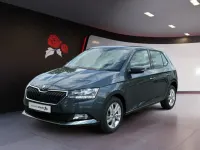 Gebraucht Skoda Fabia Drive 95 PS (69 kW) 2021 Quarzgrau metallic Kleinwagen