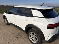 Gebraucht Citroën C4 Shine 110 PS (80 kW) 2019 Weiß SUV