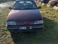 Gebraucht Renault 19 73 PS (53 kW) 1989 Rot Limousine