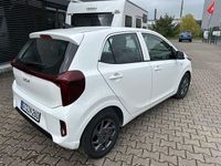 Gebraucht Kia Picanto Vision 67 PS (49 kW) 2025 Weiß Kleinwagen