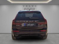 Gebraucht Volvo XC60 Plus 250 PS (183 kW) 2025 Mulberry red SUV