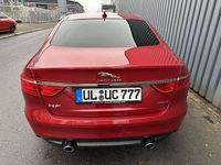 Gebraucht Jaguar XF Portfolio 300 PS (220 kW) 2017 Rot Limousine