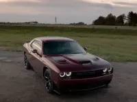 Gebraucht Dodge Challenger 309 PS (227 kW) 2021 Violett Coupé