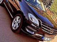 Gebraucht Mercedes ML350 258 PS (189 kW) 2014 Schwarz SUV