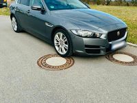 Gebraucht Jaguar XE 180 PS (132 kW) 2017 Grau Limousine