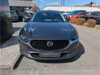 Gebraucht Mazda CX-30 Exclusive 140 PS (102 kW) 2022 Grau SUV