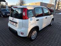 Neu Fiat Panda 69 PS (50 kW) 2025 Weiß Limousine