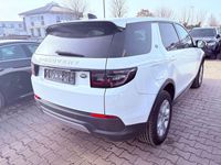 Gebraucht Land Rover Discovery Sport S 150 PS (110 kW) 2020 Weiß SUV