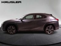 Gebraucht Lexus UX 250h 152 PS (111 kW) 2023 Grau SUV