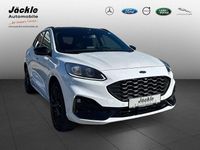 Gebraucht Ford Kuga ST-Line X 152 PS (111 kW) 2024 Frostweiß SUV