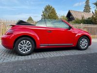 gebraucht VW Beetle 