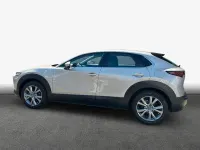 Gebraucht Mazda CX-30 Selection 122 PS (89 kW) 2023 Grau SUV