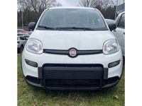 gebraucht Fiat Panda Mild Hybrid 1.0 GSE MY22 Start/Stop Klima