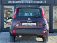 Gebraucht Fiat Panda 69 PS (50 kW) 2014 Colore esterno melanzana mical Kleinwagen
