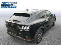 Gebraucht Ford Mustang Mach-E Basis 216 kW (294 PS) 2023 Iridiumschwarz metallic SUV