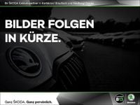 Neu Skoda Elroq 125 kW (170 PS) 2026 Graphitegrau metallic SUV