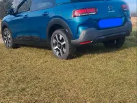 Gebraucht Citroën C4 Cactus Shine 110 PS (80 kW) 2019 Blau Kleinwagen
