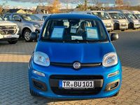 Gebraucht Fiat Panda Pop 69 PS (50 kW) 2025 Blau Limousine