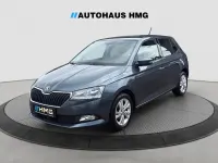 Gebraucht Skoda Fabia Soleil 75 PS (55 kW) 2019 Grau Kleinwagen