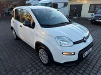 Neu Fiat Panda 69 PS (50 kW) 2025 Weiß Limousine