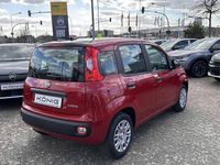Neu Fiat Panda 69 PS (50 kW) 2026 Rot Kleinwagen