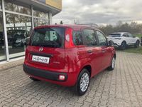 Neu Fiat Panda 69 PS (50 kW) 2025 Rot Kleinwagen