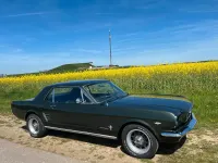 Gebraucht Ford Mustang 200 PS (147 kW) 1966 Grün Coupé