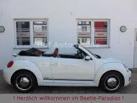 Gebraucht VW Beetle Cup 105 PS (77 kW) 2015 Weiß Kleinwagen