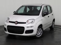 Neu Fiat Panda 69 PS (50 kW) 2025 Weiß, weiß uni Kleinwagen