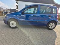 Gebraucht Fiat Panda 54 PS (39 kW) 2009 Blau Kleinwagen