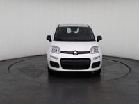 Neu Fiat Panda 69 PS (50 kW) 2025 Weiß, weiß uni Kleinwagen