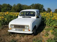 Gebraucht Renault R4 34 PS (25 kW) 1991 Weiß Kleinwagen