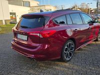 Usata Ford Focus ST-Line 182 CV (133 kW) 2019 Rosso Berlina