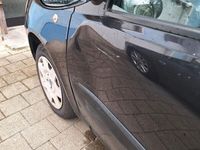 gebraucht Fiat Punto 