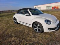 Gebraucht VW Beetle Cabriolet Cup 105 PS (77 kW) 2014 Weiß Cabrio