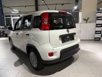 Gebraucht Fiat Panda 69 PS (50 kW) 2024 Weiss) (weiss Kleinwagen