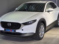 Neu Mazda CX-30 Exclusive-Line 140 PS (102 kW) 2026 Weiß SUV