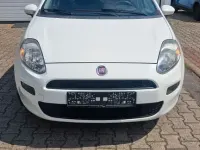 Gebraucht Fiat Punto Pop 69 PS (50 kW) 2014 Weiß Kleinwagen
