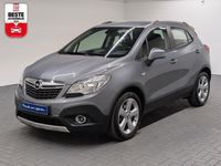 Gebraucht Opel Mokka Edition 140 PS (102 kW) 2014 Grau SUV