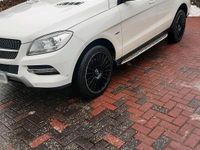 Gebraucht Mercedes ML250 204 PS (150 kW) 2012 Weiß SUV
