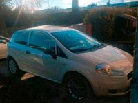 Gebraucht Fiat Punto 70 PS (51 kW) 2011 Weiß Kleinwagen