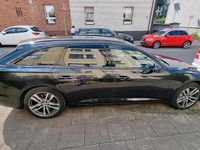 Gebraucht Audi A6 Basis 231 PS (169 kW) 2020 Grau Kombi