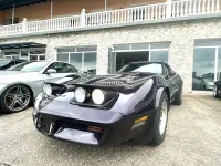 Gebraucht Corvette C3 201 PS (147 kW) 1981 Violett