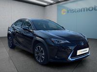 Gebraucht Lexus UX 250h 184 PS (135 kW) 2021 Schwarz SUV