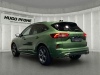 Gebraucht Ford Kuga ST-Line X 150 PS (110 kW) 2024 Bursting green SUV
