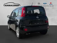 Gebraucht Fiat Panda Easy 69 PS (50 kW) 2018 Schwarz Kleinwagen